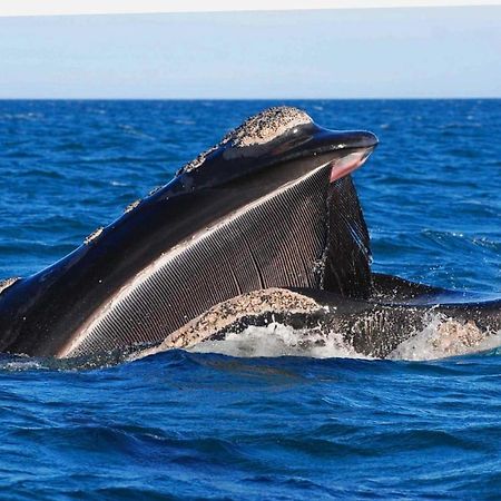 El Canto De La Ballena Loft 1 Puerto Pirámides Dış mekan fotoğraf
